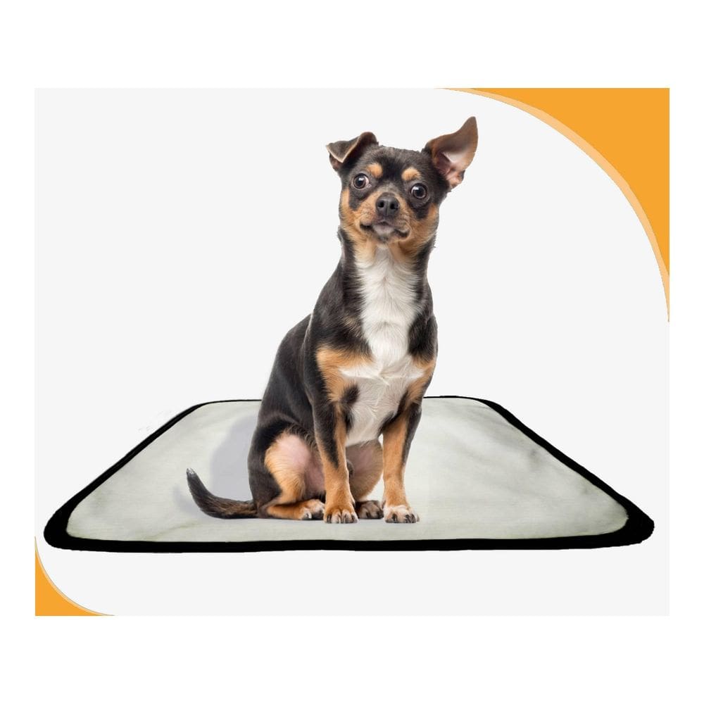 Tapete Lavável Dog Adestramento Higiênico 2Un P - 50X60 Cm
