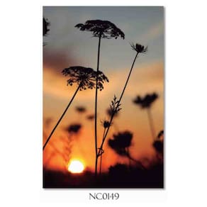 Tela Moldura MDF/Canvas 70x105 cm Imagem NC0149 Selezione Decor