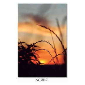 Tela Moldura MDF/Canvas 70x105 cm Imagem NC0147 Selezione Decor