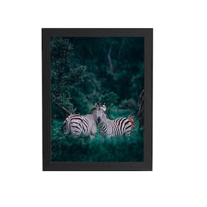 Zebras Floresta Natureza Foto Quadro Moldura Preta 60X40Cm