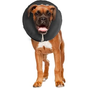 Coleira de recuperação ZenPet Protective Inflável para cães e gatos
