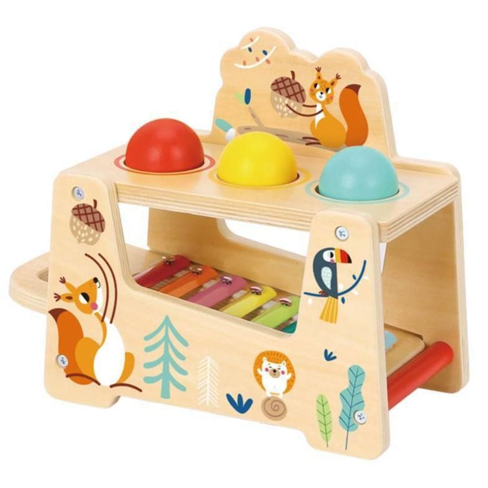 Brinquedo Didático Xilofone Divertido Bichos Tooky 7Pç Tf827