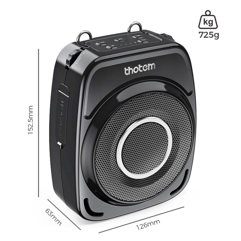Amplificador de Voz Portátil - THOTEM T8 + 2 Microfones | Casas Bahia
