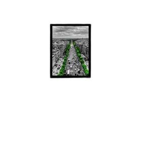 Quadro Fotografia Árvores Verdes Cidade 24X18Cm - Com Vidro