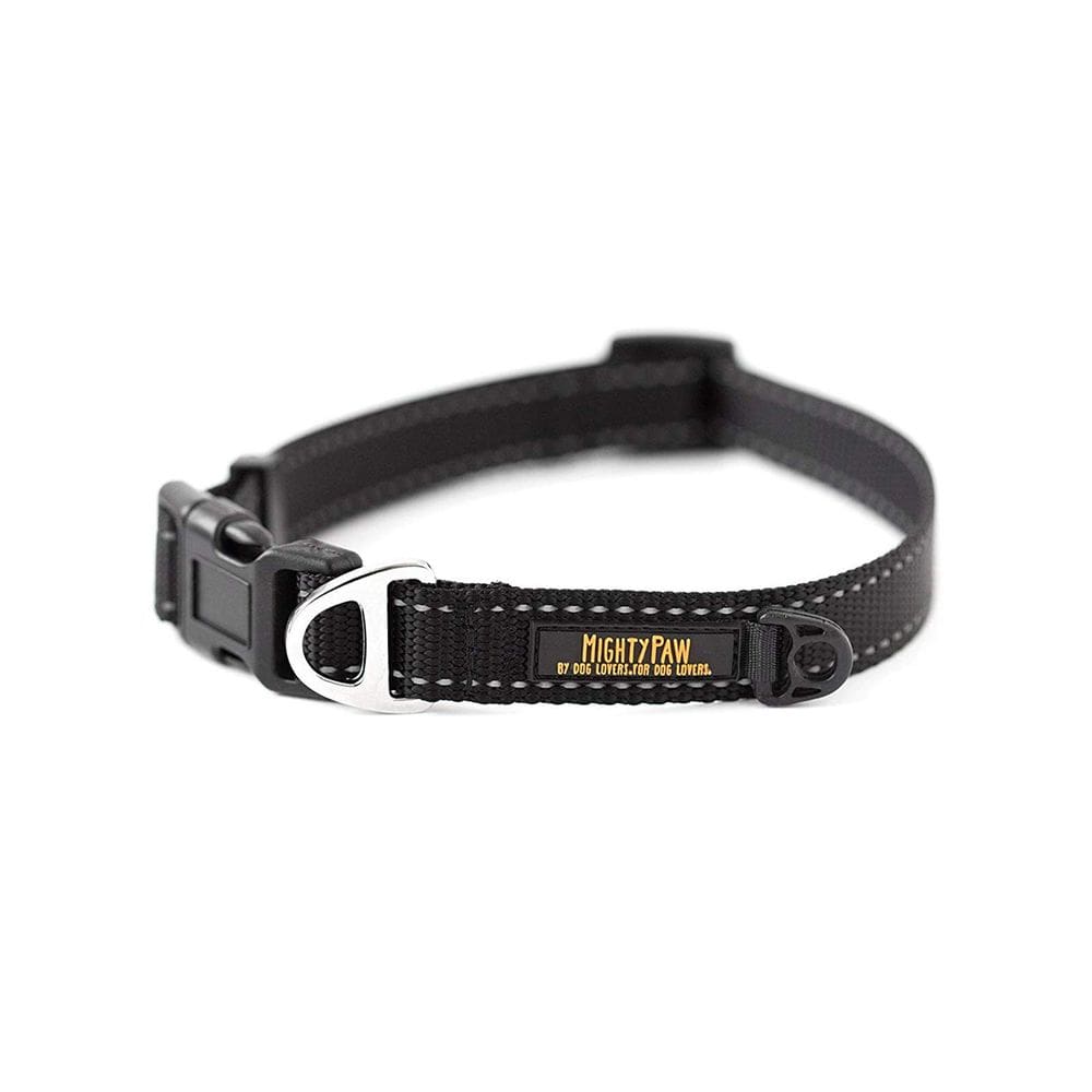 Coleira para cães Mighty Paw Plain de alta visibilidade em nylon ajustável
