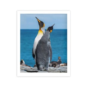 Pinguins Animais Oceano Mar Quadro Moldura Branca 60X40Cm