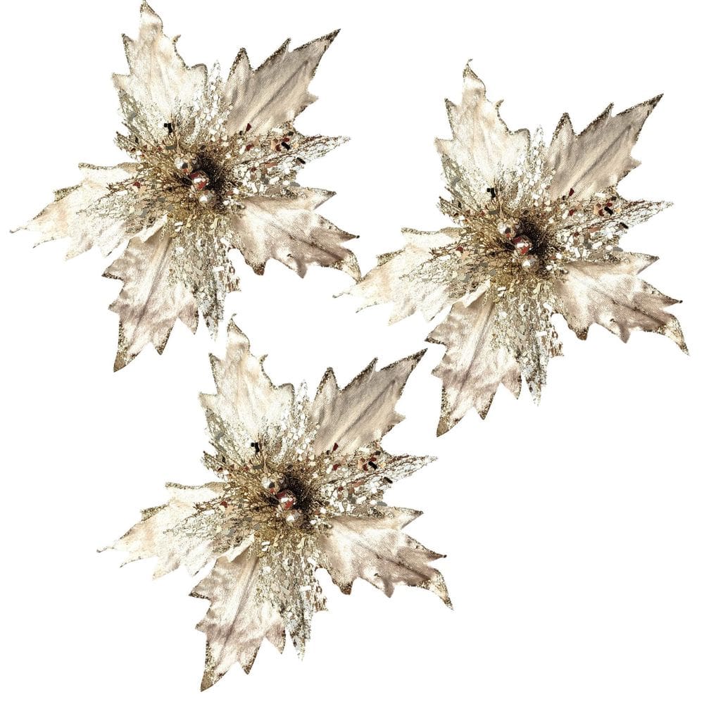 Kit 3 Poinsettia Champanhe Bico De Papagaio 33Cm Natal