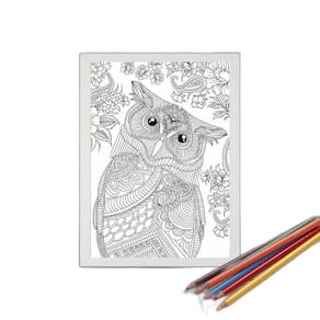 Quadro Decorativo Para Colorir Coruja 24X18Cm - Com Vidro