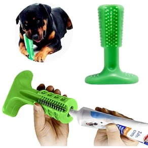 Brinquedo Pet Mordedor e Escova de Dente para Cães - Tudo em Caixa