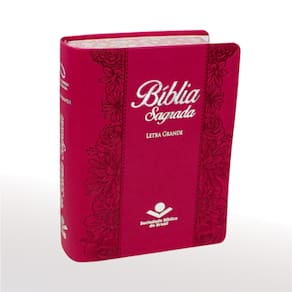 Bíblia Sagrada Nova Almeida Atualizada Letra Grande Pink