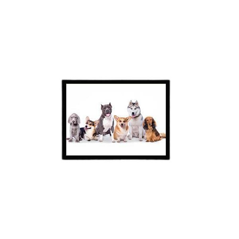 Quadro Turma Pet 45X34Cm - Com Vidro Moldura Preta