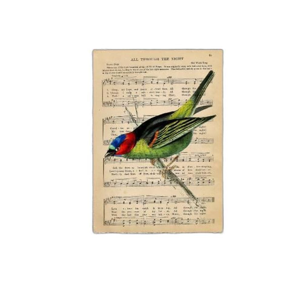 Placa Decorativa Pássaro Com Partitura 18X27Cm