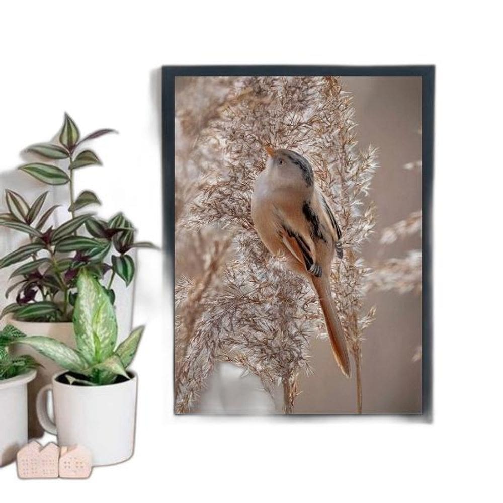 Quadro Fotografia Passarinho Fundo Nude 24X18 Madeira Preta