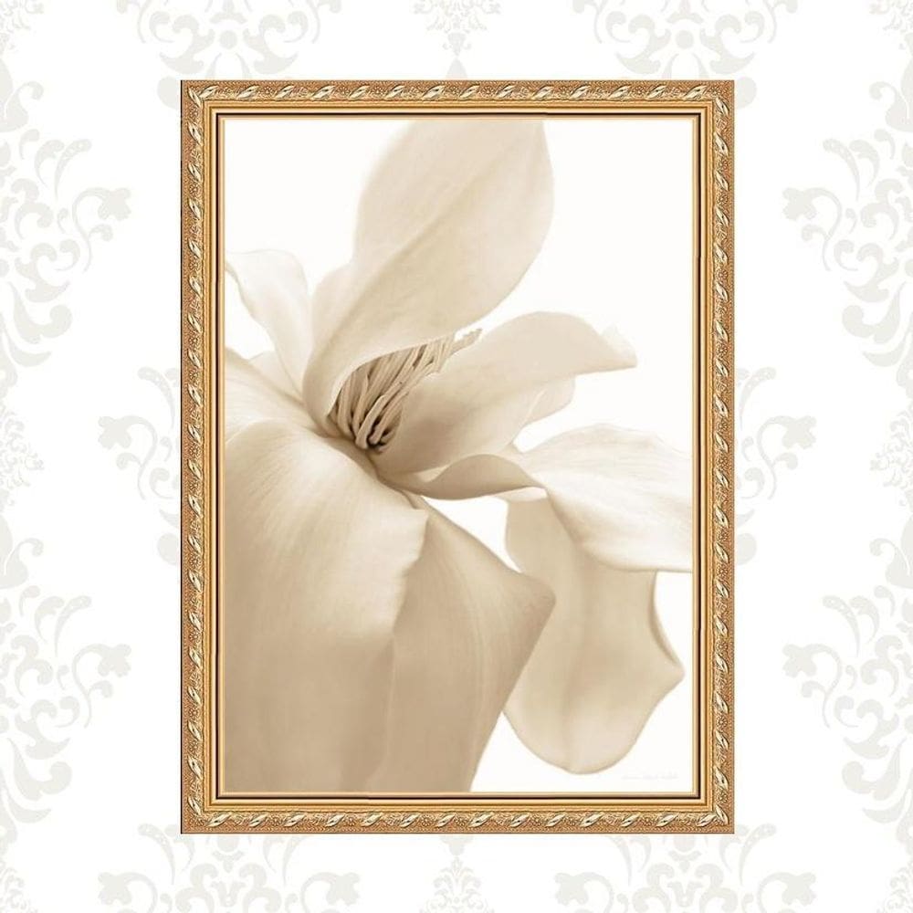 Quadro Moldura Dourada Flor Bege 45X34Cm