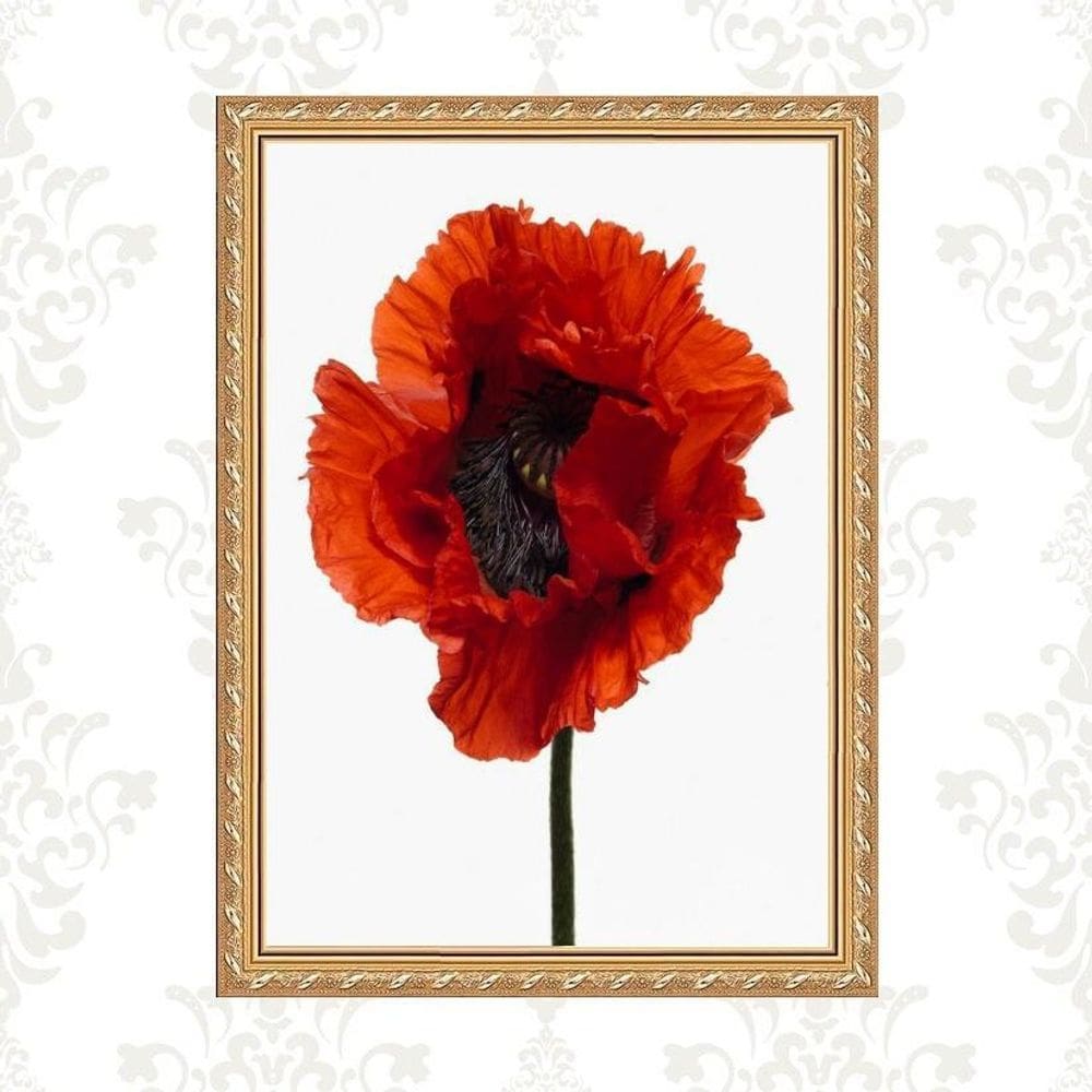 Quadro Moldura Dourada Flor Avermelhada 24X18Cm