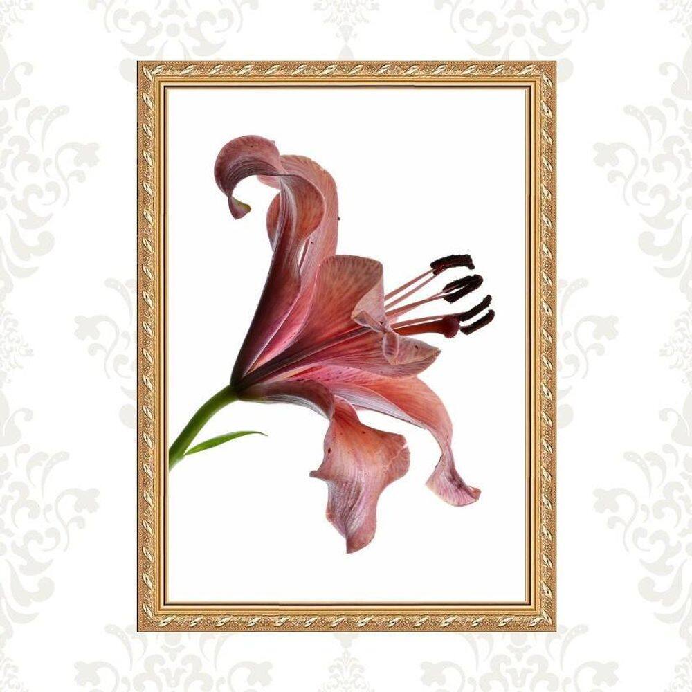Quadro Moldura Dourada Flor Nuances Bordô 45X34Cm