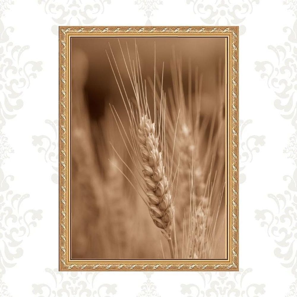 Quadro Moldura Dourada Trigo 45X34Cm