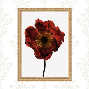Quadro Moldura Dourada Flor Cor Vinho 24X18Cm