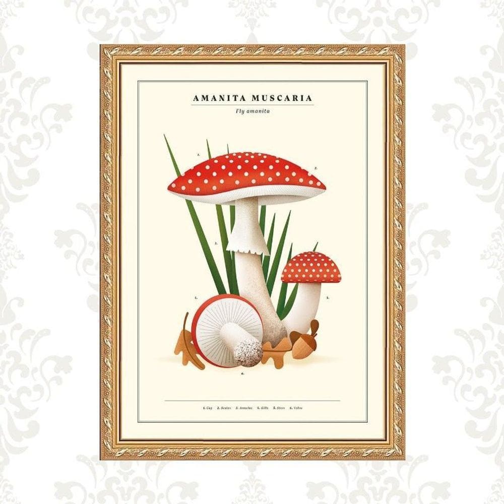 Quadro Moldura Dourada Cogumelos Vintage 24X18Cm