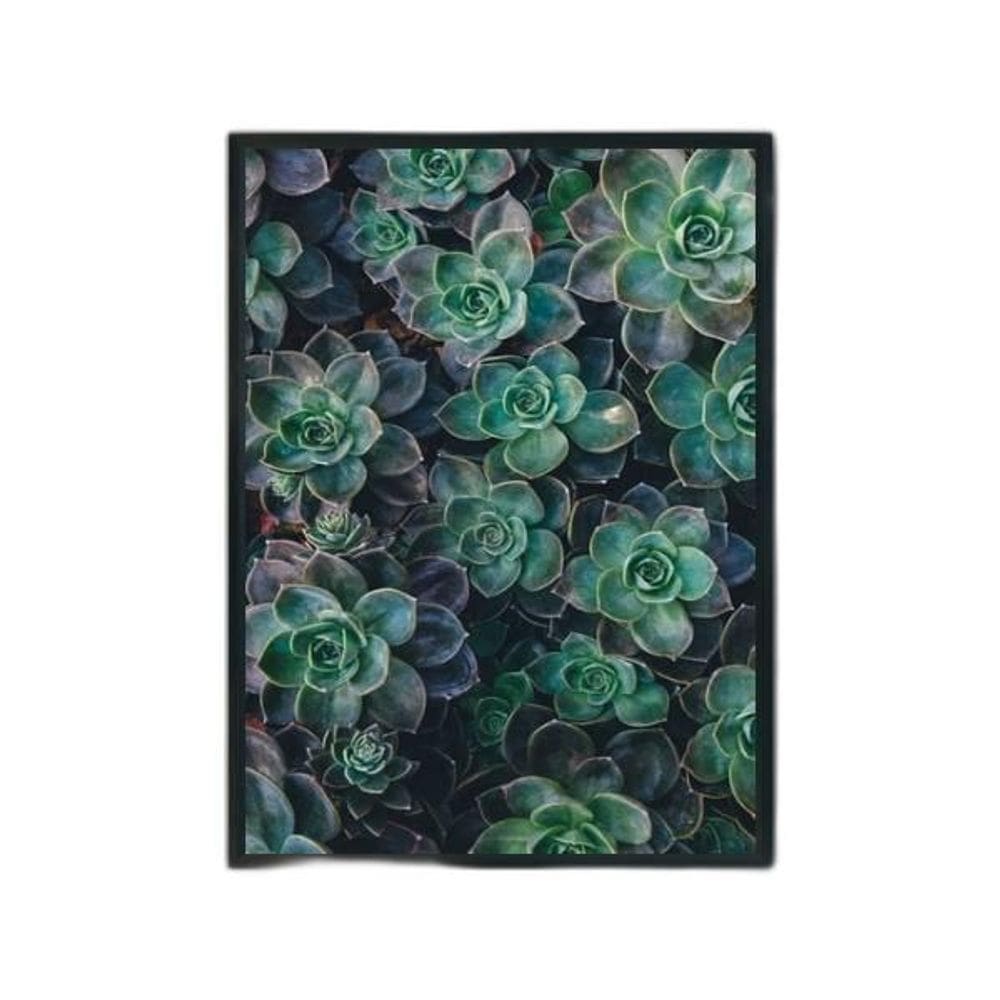 Quadro Fotografia Suculentas 45X34Cm Com Vidro Moldura Preta
