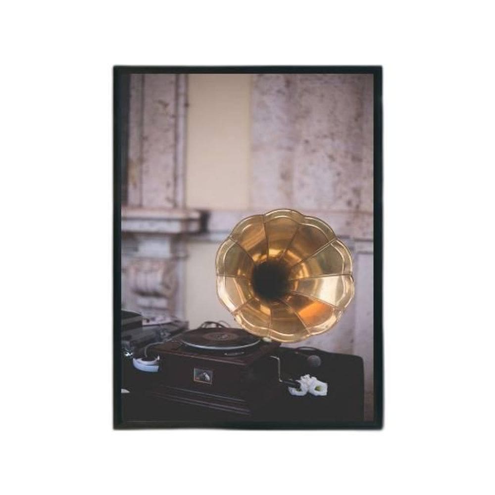 Quadro Fotografia Gramofone 24X18Cm