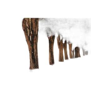 Fundo Fotográfico Em Tecido Cerejeiras 2,60X1,50