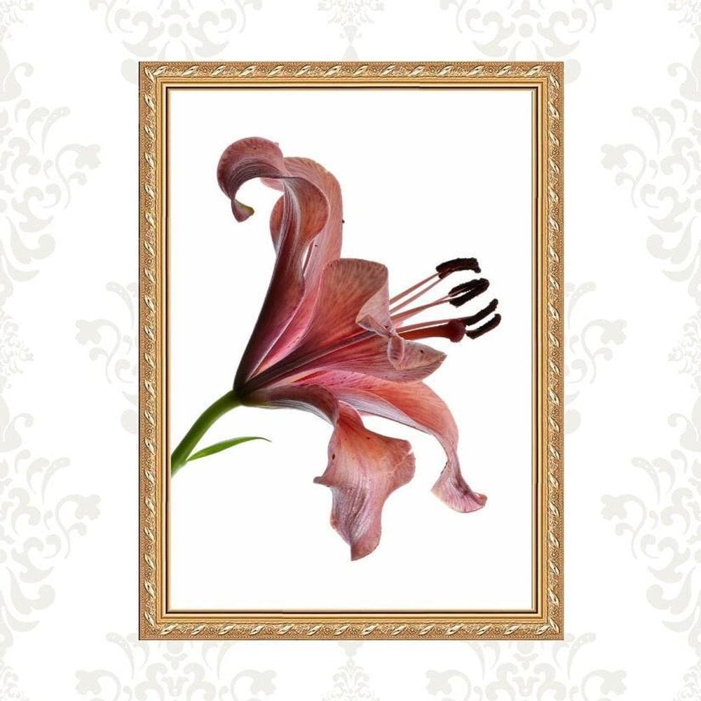 Quadro Moldura Dourada Flor Nuances Bordô 24X18Cm