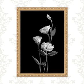 Quadro Moldura Dourada Flores Brancas Fundo Preto 24X18Cm