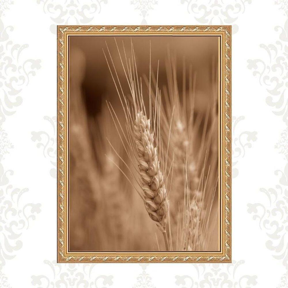 Quadro Moldura Dourada Trigo 24X18Cm