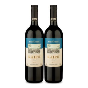 Kit 2 Vinhos Entre Dois Mundos Kaipú Tannat Tinto Brasil 750ml