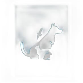 Stencil Tamako Cachorro - 15X20Cm - Ref 8975