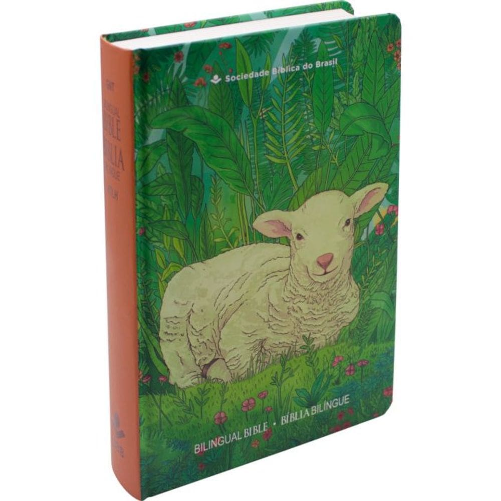 Bíblia Bilíngue edição para Jovens – Inglês/Português - SBB