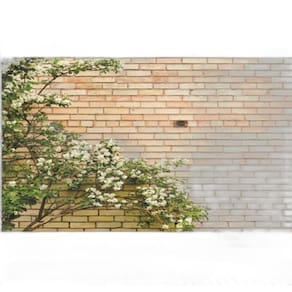 Fundo Fotográfico Em Tecido Muro Com Árvores 2,20X1,50