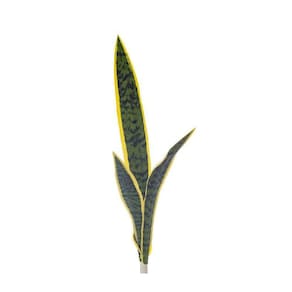 Folhagem Artificial Espada De São Jorge Realista Premium