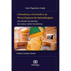 A Docência, o Currículo e os Novos Espaços de Aprendizagens: Um estudo em escolas de ensino médio brasileiras
