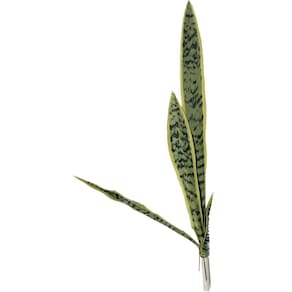 Espada De São Jorge Realística Lavável 54 Cm Toque Real