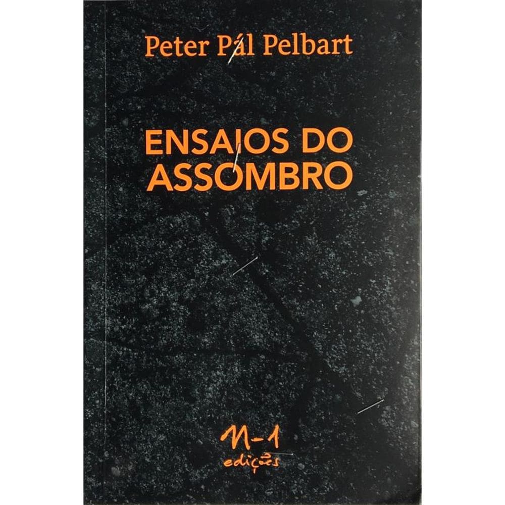 Ensaios do assombro