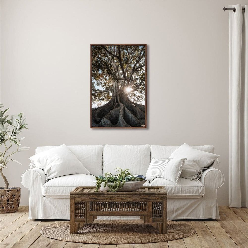 Quadro Decorativo Paisagem Árvore e Raios de Sol com 1 Tela Cm ou Cm de Parede para Escritório Banhe Marrom