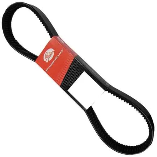 CORREIA V DUPLA - 2X13X0965