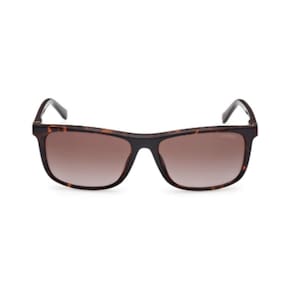 Oculos Sol Guess Gu001695852F