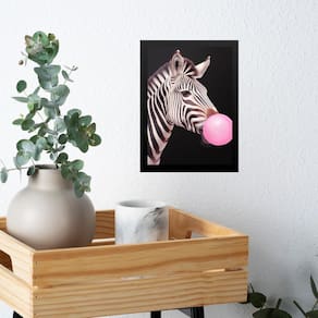 Quadro Zebra Bubble Gum - Fundo Preto 33X24Cm