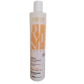 Divine Concept Leave-In Leite Siliconado 500Ml