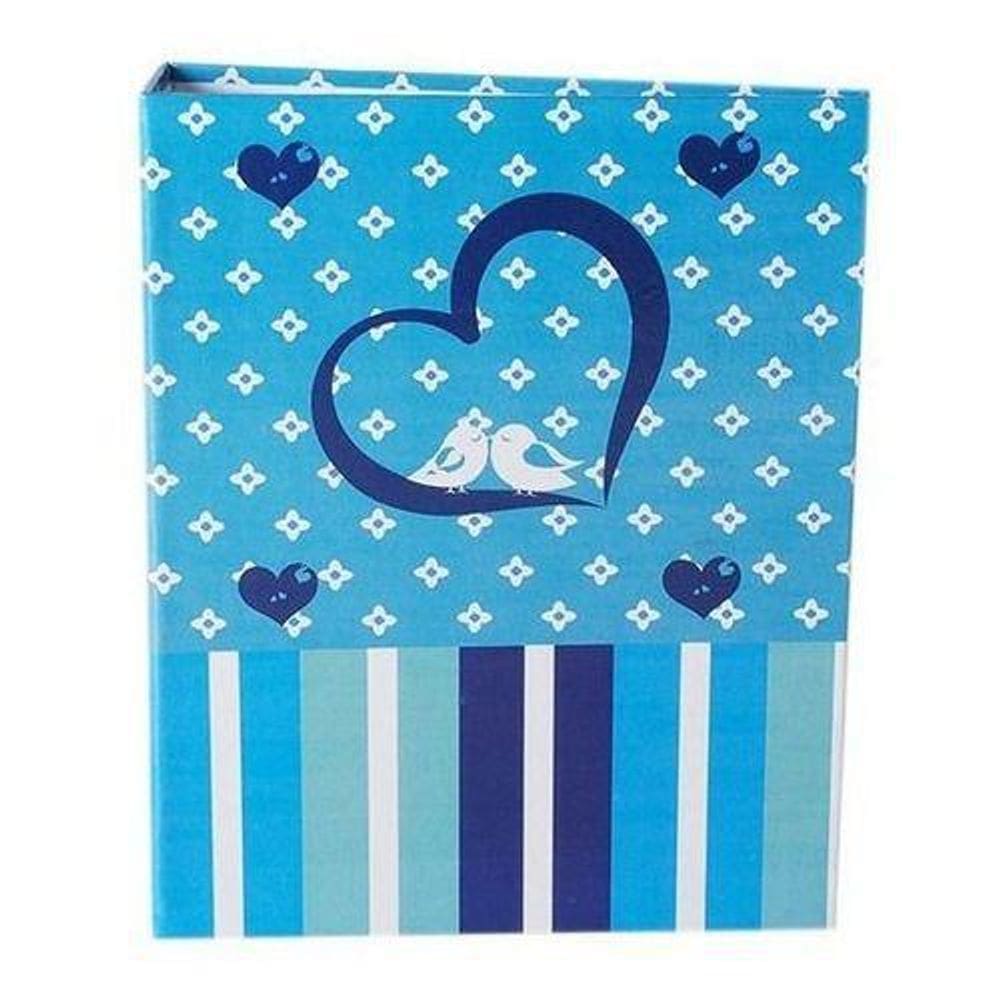 Album 100 Fotos 15X21 Paint Rec 100/10