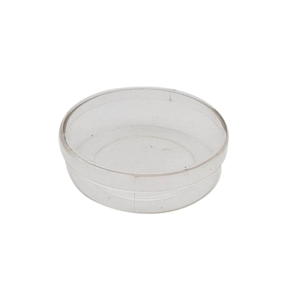 Lembrancinha Latinha Cristal 10 Un