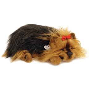 Perfect Petzzz Filhotes Cachorro Yorkshire Imex