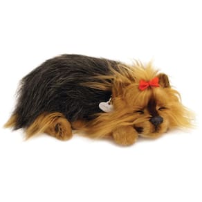 Perfect Petzzz Filhotes Cachorro Yorkshire Imex