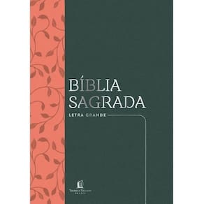 Biblia Sagrada Nvi, Couro Soft, Verde,letra Grande
