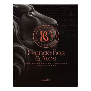 Bíblia Contexto - Evangelhos & Atos - Leão - Com Referências Cruzadas Por Extenso