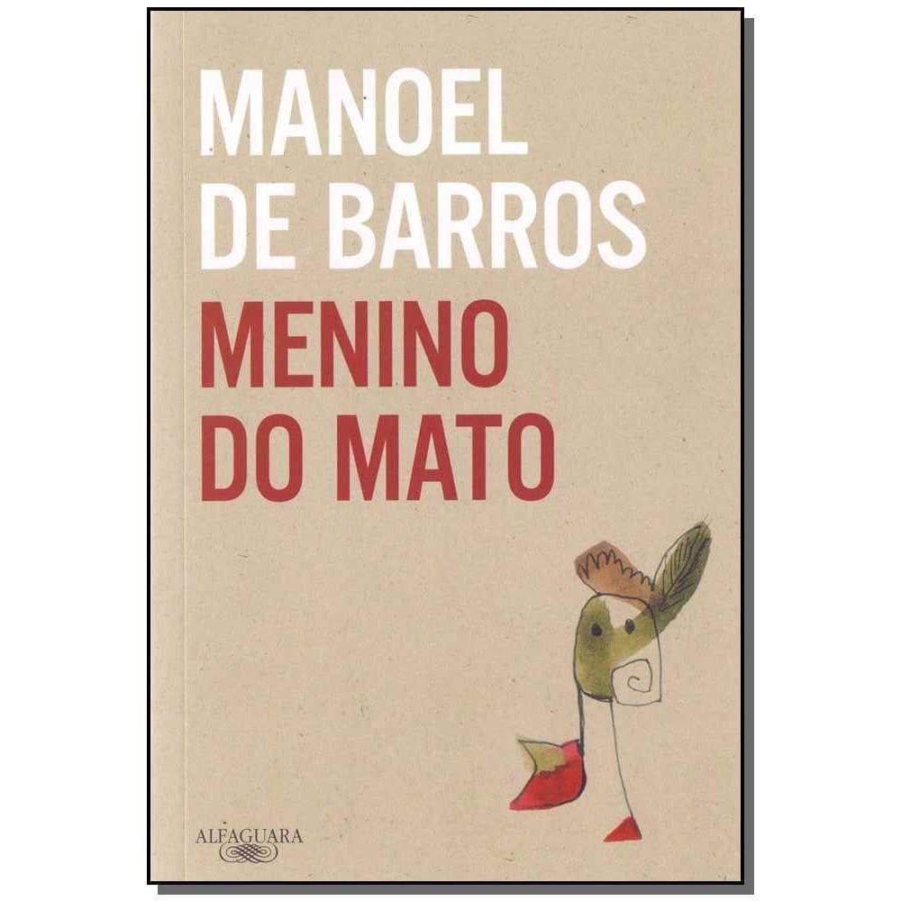 Menino do Mato