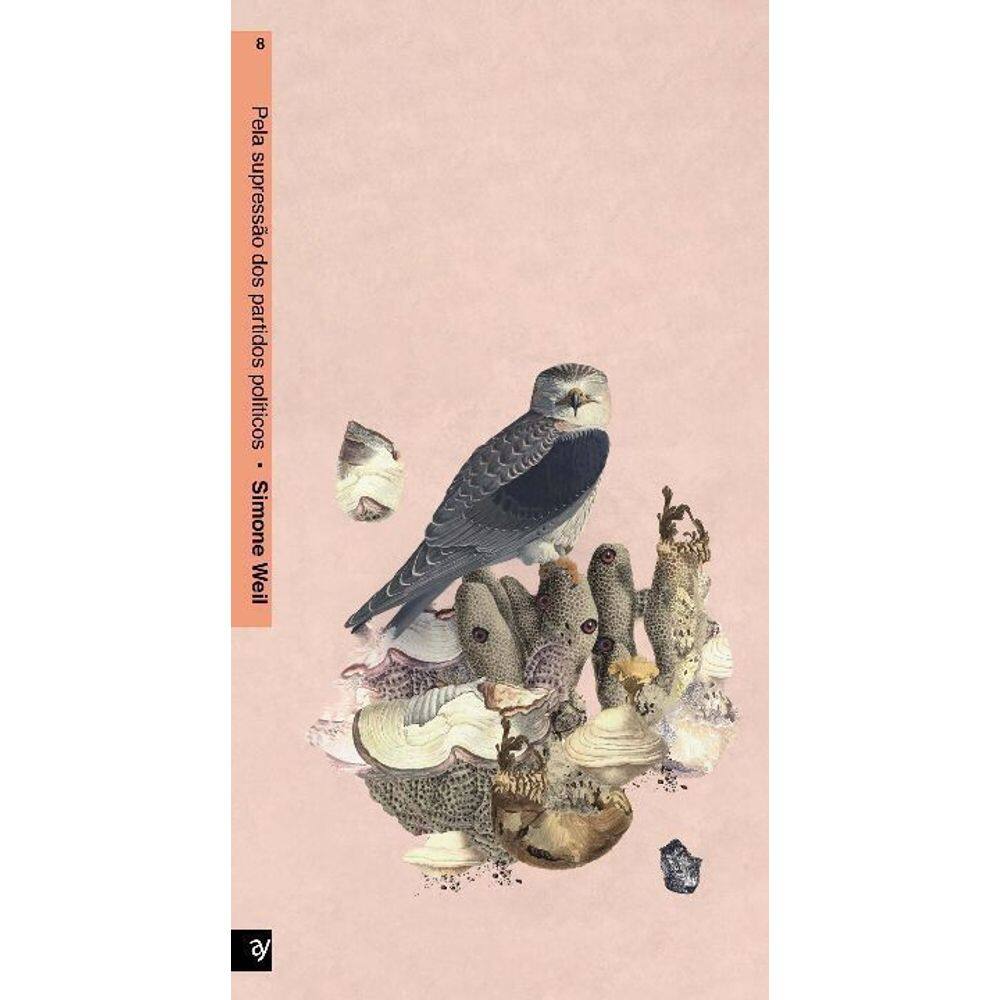 Que Paraíso é Esse?